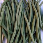 Haricots verts