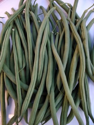 Haricots verts 1 kg