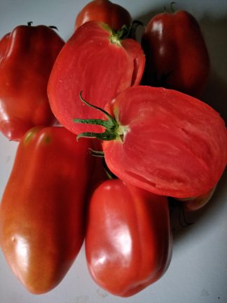 Tomates Cornabel 1 kg