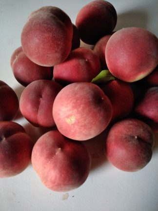 Pêches blanches 1 kg
