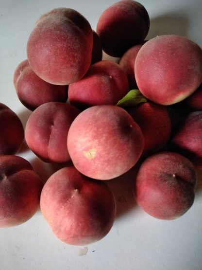 Pêches blanches 1 kg