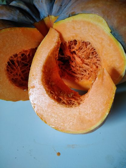 Part de courge muscade