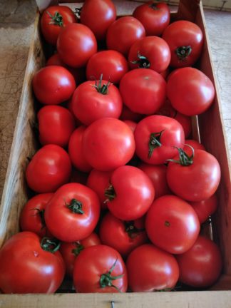 Plateau tomates sauce 6 kgs