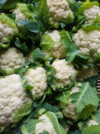 Choux fleur 1 kg