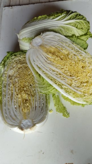 Choux chinois, la pièce