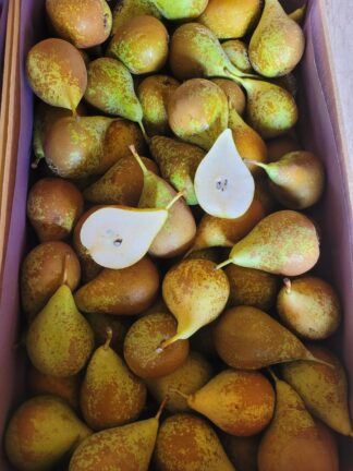 Poires Conférence 1 kg